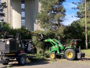 Abattage d'arbres en bord de parking pendant l'intervention, dans la commune d'Olivet, près d'Orléans