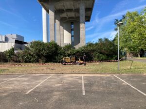 Abattage d'arbres en bord de parking après l'intervention, dans la commune d'Olivet, près d'Orléans