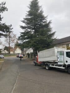 Élagage d'un sapin en bord de route dans un jardin à Orléans