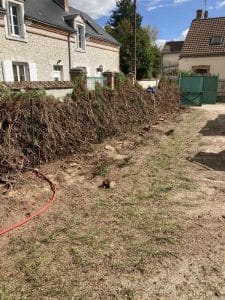 Arrachage d'une haie à Orléans pendant l'intervention de l'équipe d'Ent . Dole