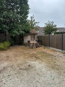 Jardin après abattage de l'érable à Olivet, chantier terminé et nettoyé