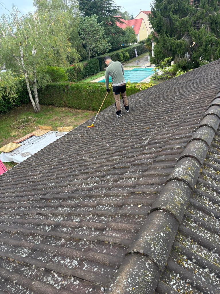 Brossage de la mousse sur des tuiles avec un balai à manche télescopique, Olivet
